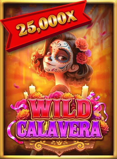 Book of Dead slot cover from Play'n GO
